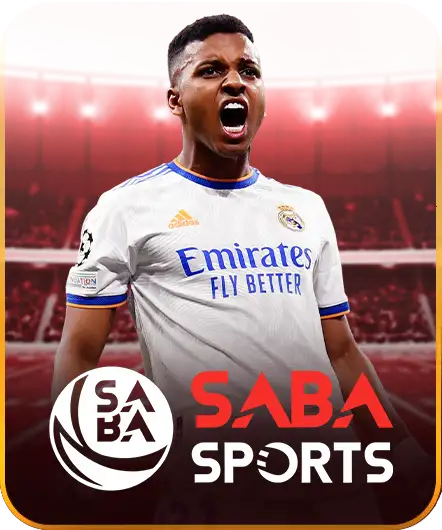 Sport 6